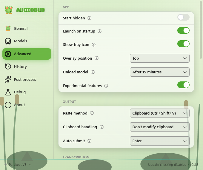 Advanced settings: accelerators, GPU device, and app behavior toggles.